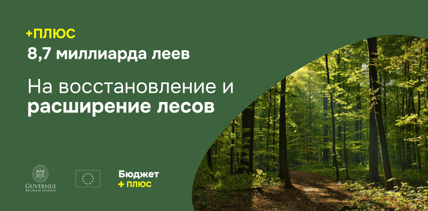Развитие лесов в Республике Молдова