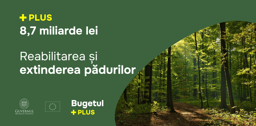 Dezvoltarea Pădurilor din Republica Moldova